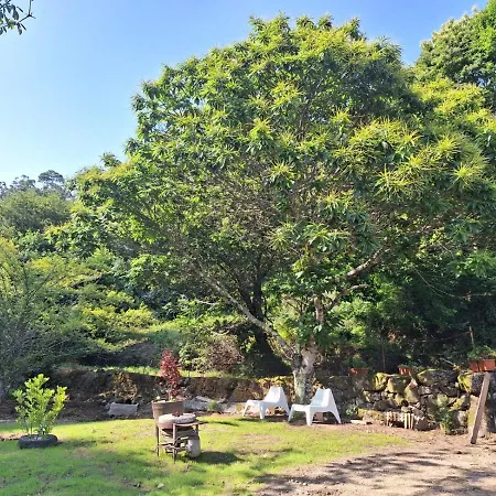 Casa Rustica Con Y Regato Dentro Recien Rehabilitada Situada En El Entorno Del Parque Natural Monte Aloia Y Monte De San Antonino Proxima A Gondomar Y Playas De Nigran * Tui