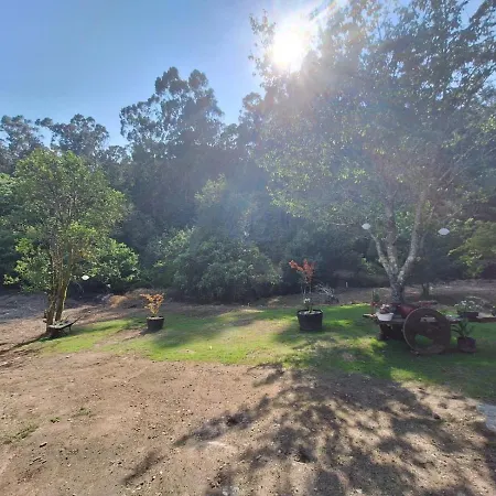 Casa Rustica Con Y Regato Dentro Recien Rehabilitada Situada En El Entorno Del Parque Natural Monte Aloia Y Monte De San Antonino Proxima A Gondomar Y Playas De Nigran Apartamento Tui