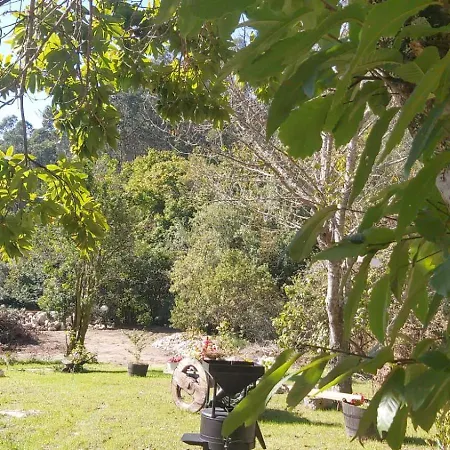 Casa Rustica Con Y Regato Dentro Recien Rehabilitada Situada En El Entorno Del Parque Natural Monte Aloia Y Monte De San Antonino Proxima A Gondomar Y Playas De Nigran *