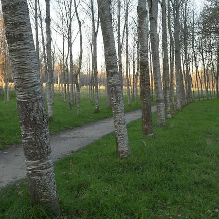 Apartamento Casa Rustica Con Y Regato Dentro Recien Rehabilitada Situada En El Entorno Del Parque Natural Monte Aloia Y Monte De San Antonino Proxima A Gondomar Y Playas De Nigran *
