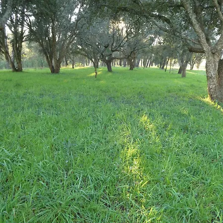 Casa Rustica Con Y Regato Dentro Recien Rehabilitada Situada En El Entorno Del Parque Natural Monte Aloia Y Monte De San Antonino Proxima A Gondomar Y Playas De Nigran Tui