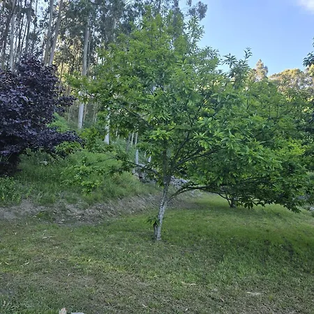 アパート Vivienda De Uso Turistico Casa Porto *